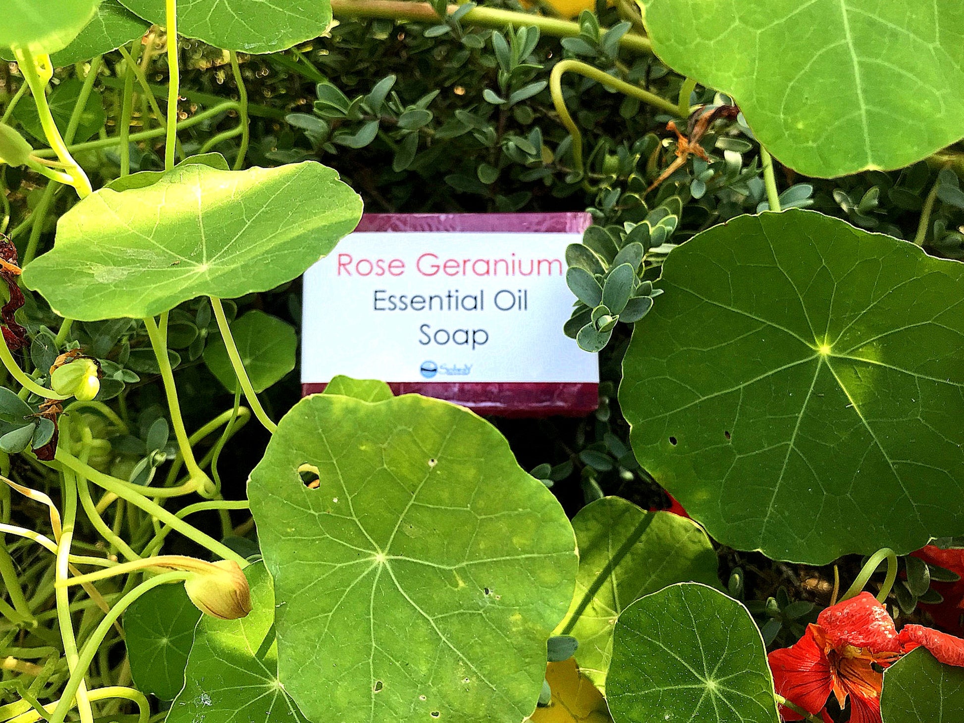 Rose Geranium Soap - Solway Soap